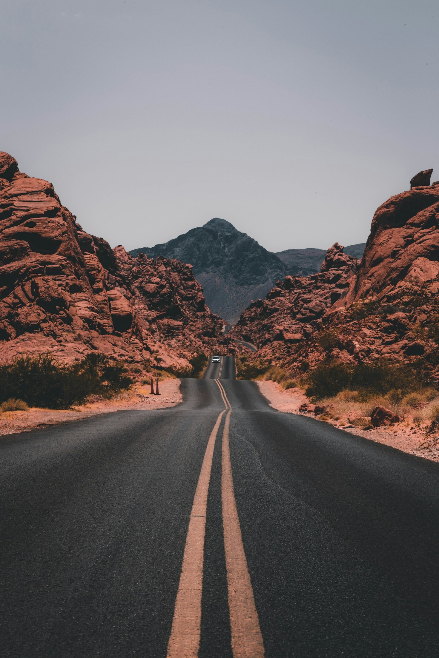 180 Countries, One Life-Changing Journey